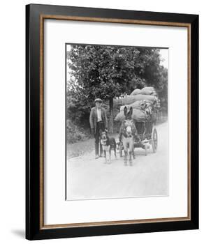 Dog and Donkey Team-null-Framed Photographic Print