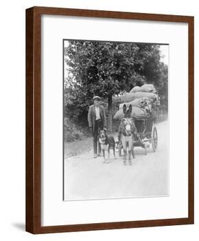 Dog and Donkey Team-null-Framed Photographic Print