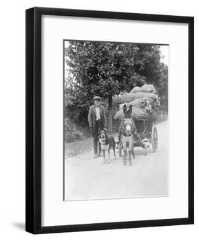 Dog and Donkey Team-null-Framed Photographic Print
