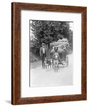 Dog and Donkey Team-null-Framed Photographic Print