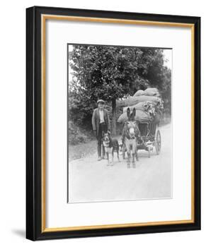 Dog and Donkey Team-null-Framed Photographic Print