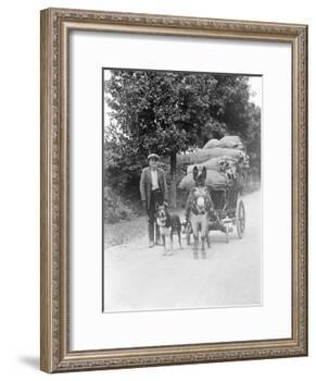 Dog and Donkey Team-null-Framed Photographic Print