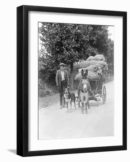 Dog and Donkey Team-null-Framed Photographic Print