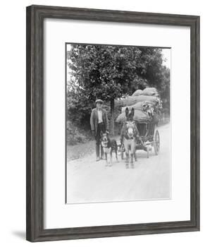 Dog and Donkey Team-null-Framed Photographic Print