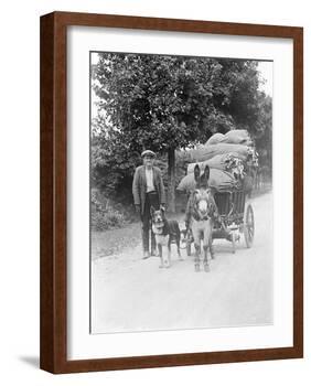 Dog and Donkey Team-null-Framed Photographic Print