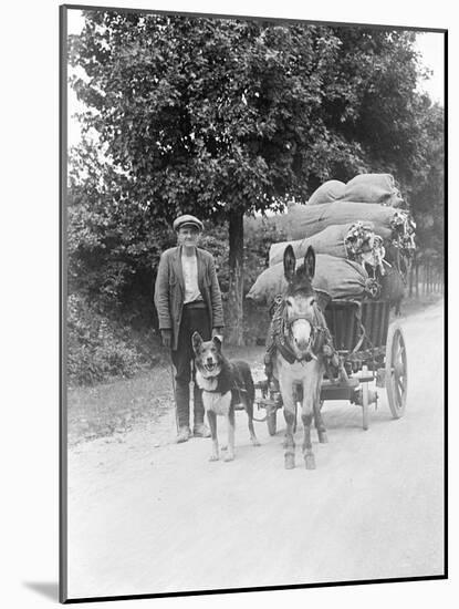 Dog and Donkey Team-null-Mounted Photographic Print