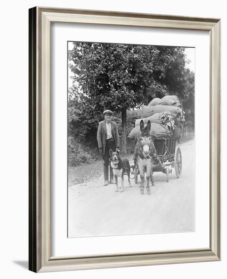 Dog and Donkey Team-null-Framed Photographic Print