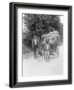 Dog and Donkey Team-null-Framed Photographic Print
