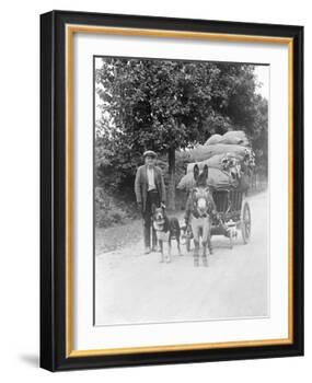 Dog and Donkey Team-null-Framed Photographic Print