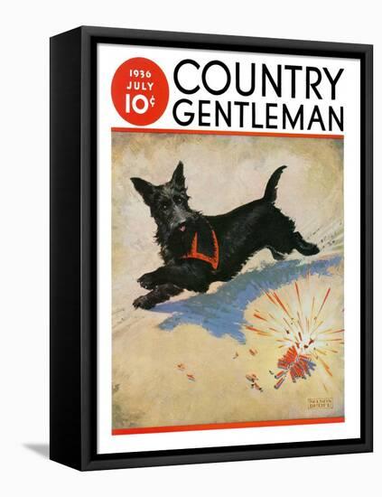 "Dog and Firecrackers," Country Gentleman Cover, July 1, 1936-Nelson Grofe-Framed Premier Image Canvas