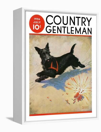 "Dog and Firecrackers," Country Gentleman Cover, July 1, 1936-Nelson Grofe-Framed Premier Image Canvas