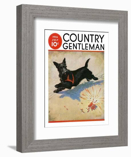 "Dog and Firecrackers," Country Gentleman Cover, July 1, 1936-Nelson Grofe-Framed Giclee Print