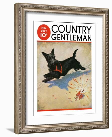 "Dog and Firecrackers," Country Gentleman Cover, July 1, 1936-Nelson Grofe-Framed Giclee Print