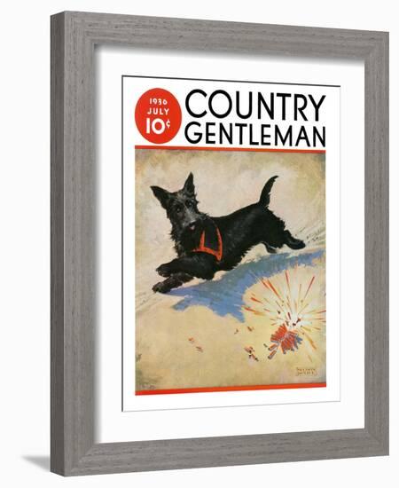 "Dog and Firecrackers," Country Gentleman Cover, July 1, 1936-Nelson Grofe-Framed Giclee Print