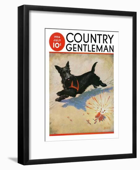 "Dog and Firecrackers," Country Gentleman Cover, July 1, 1936-Nelson Grofe-Framed Giclee Print