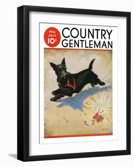 "Dog and Firecrackers," Country Gentleman Cover, July 1, 1936-Nelson Grofe-Framed Giclee Print