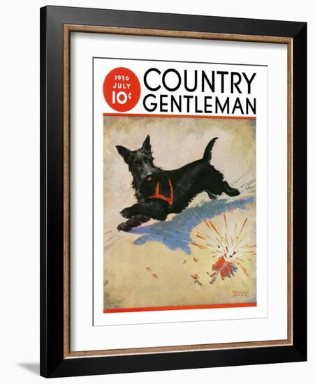 "Dog and Firecrackers," Country Gentleman Cover, July 1, 1936-Nelson Grofe-Framed Giclee Print