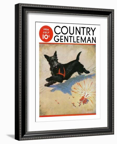 "Dog and Firecrackers," Country Gentleman Cover, July 1, 1936-Nelson Grofe-Framed Giclee Print