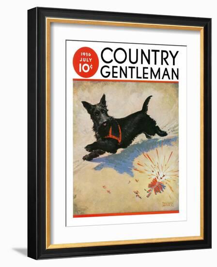 "Dog and Firecrackers," Country Gentleman Cover, July 1, 1936-Nelson Grofe-Framed Giclee Print
