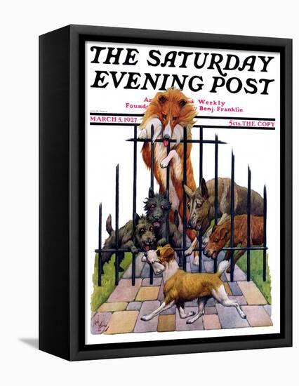 "Dog and His Bone," Saturday Evening Post Cover, March 5, 1927-Robert L. Dickey-Framed Premier Image Canvas