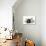 Dog and Lamb, Border Collie Sitting Between Two Cross-null-Photographic Print displayed on a wall