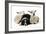 Dog and Lamb, Border Collie Sitting Between Two Cross-null-Framed Photographic Print