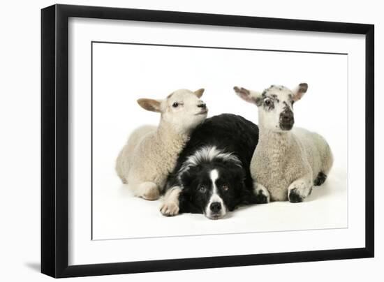 Photographic Print, , large
