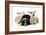 Dog and Lamb, Border Collie Sitting Between Two Cross-null-Framed Photographic Print