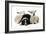 Dog and Lamb, Border Collie Sitting Between Two Cross-null-Framed Photographic Print