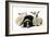 Dog and Lamb, Border Collie Sitting Between Two Cross-null-Framed Photographic Print