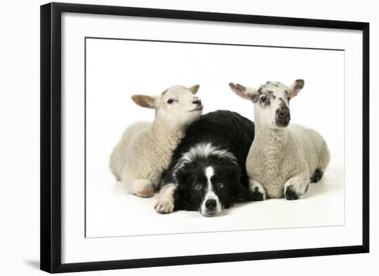 Photographic Print, , large