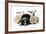 Dog and Lamb, Border Collie Sitting Between Two Cross-null-Framed Photographic Print