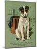 Dog and Luggage-null-Mounted Art Print