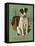 Dog and Luggage-null-Framed Stretched Canvas