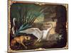 Dog and Swans (Oil on Canvas)-Jean-Baptiste Oudry-Mounted Giclee Print