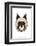 Dog - Animaru Cartoon Animal Print-Animaru-Framed Giclee Print