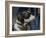 Dog Argo-Giovanni Battista Tiepolo-Framed Giclee Print