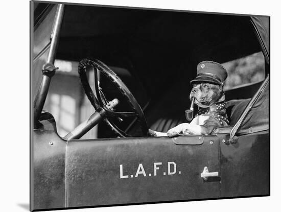 Dog at Fire Truck Wheel Smoking Pipe-null-Mounted Photographic Print