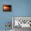 Dog at Sunset-Josh Adamski-Framed Premier Image Canvas displayed on a wall