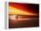 Dog at Sunset-Josh Adamski-Framed Premier Image Canvas