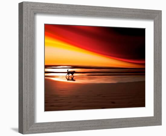 Dog at Sunset-Josh Adamski-Framed Photographic Print