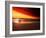 Dog at Sunset-Josh Adamski-Framed Photographic Print