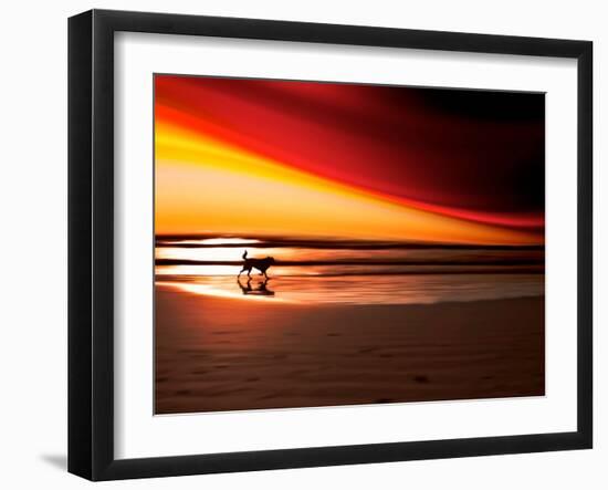 Dog at Sunset-Josh Adamski-Framed Photographic Print