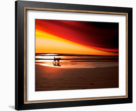 Dog at Sunset-Josh Adamski-Framed Photographic Print