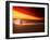 Dog at Sunset-Josh Adamski-Framed Photographic Print