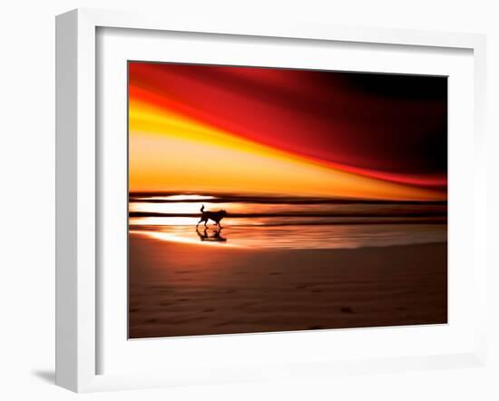 Dog at Sunset-Josh Adamski-Framed Photographic Print