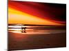 Dog at Sunset-Josh Adamski-Mounted Photographic Print