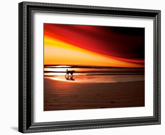 Dog at Sunset-Josh Adamski-Framed Photographic Print