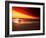 Dog at Sunset-Josh Adamski-Framed Photographic Print