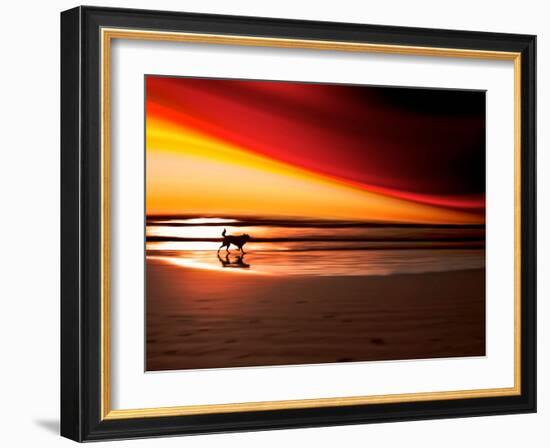 Dog at Sunset-Josh Adamski-Framed Photographic Print